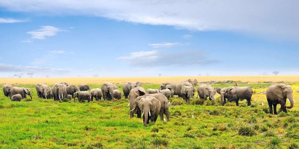 Kenya Classic, Sentrim Lodges - Private Tour - Destination Services - Kenya - Image 1
