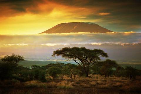 Kenya Classic, Serena Lodges - 7 Days
