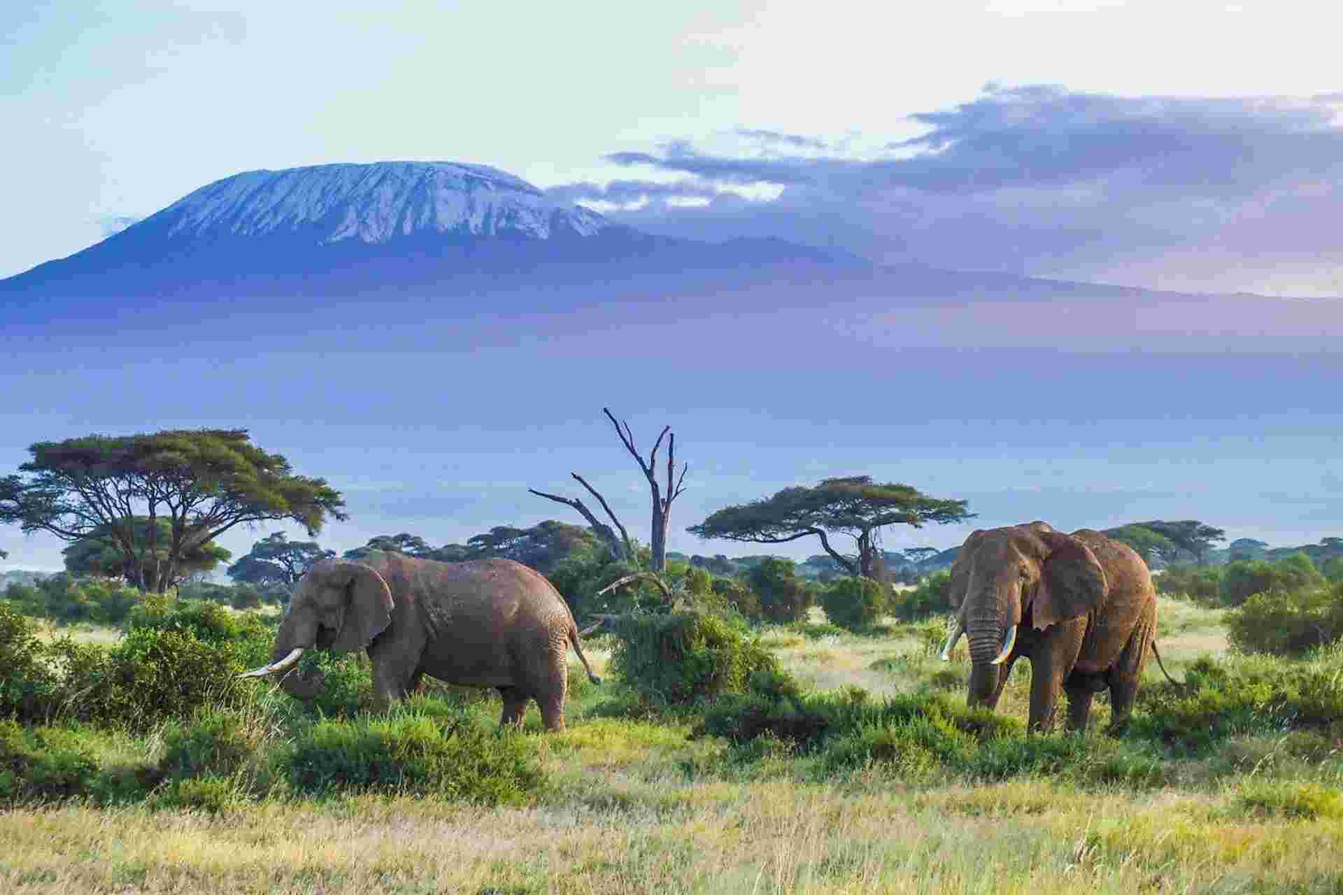 Kenya Classic, Sopa Lodges - Private Tour