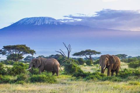 Kenya Classic, Sopa Lodges - Private Tour - 7 Days