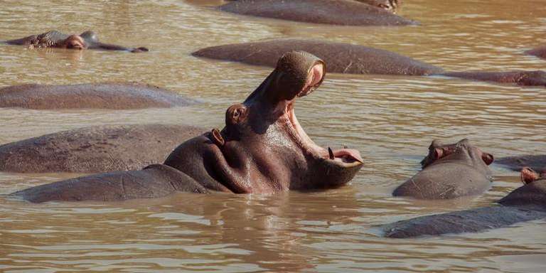 Kenya: Cultural Connections, Mt Kenya & Maasai Mara - 10 days