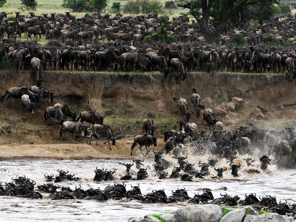 Kenya Family Safari - 8 days - On The Go Tours - Kenya - Image 5