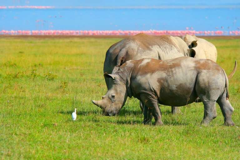 Kenya Highlights, Private Tour - 7 days