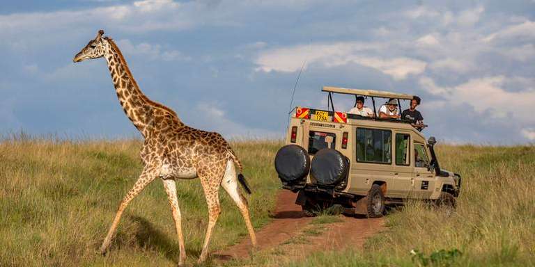 Kenya: Masai Mara, Tsavo & Coastal Wonders trip - alternative tour available