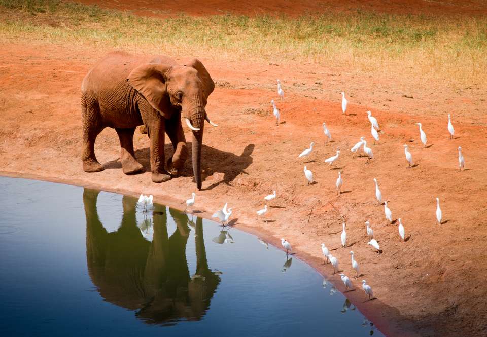 Kenya Odyssey - Destination Services - Kenya