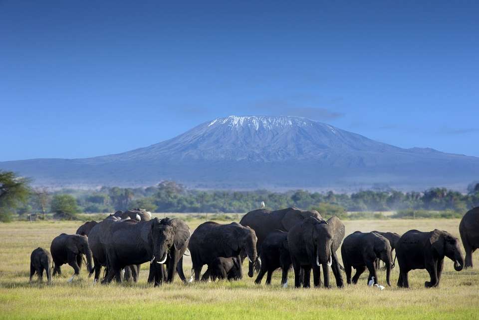 Kenya Odyssey - Destination Services - Kenya