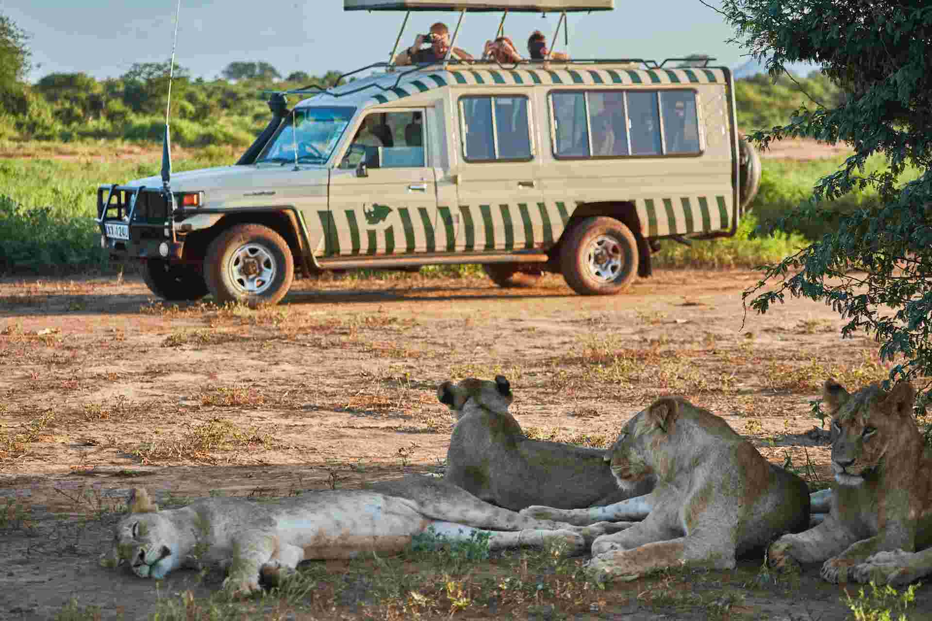 Kenya Safari Adventure