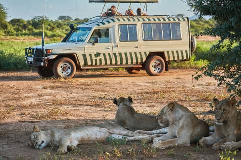 Kenya Safari Adventure - 8 Days