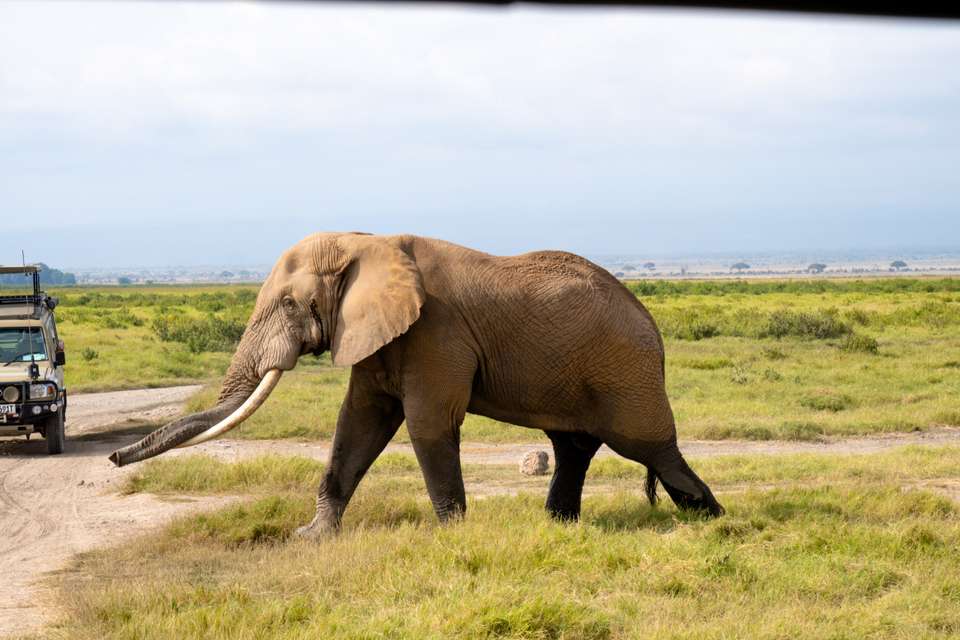 Kenya Safari Adventure - Exodus Adventure Travels - Kenya