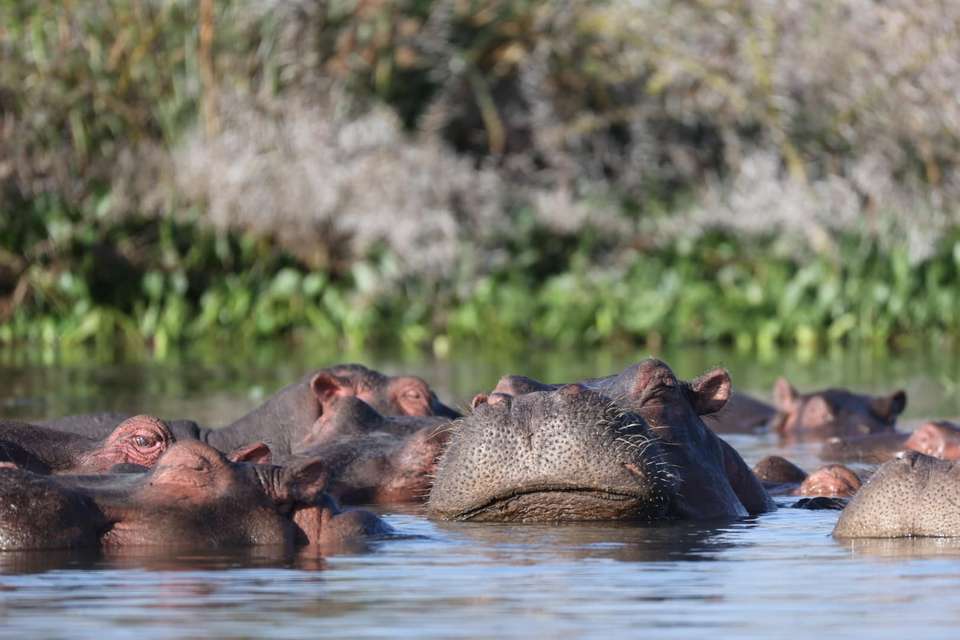 Kenya Safari Adventure - Exodus Adventure Travels - Kenya