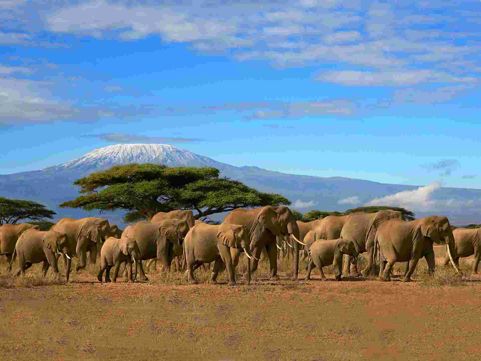 Kenya Safari & Beach - 9 days