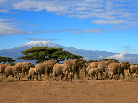 Kenya Safari & Beach - 9 Days - Winter Tours
