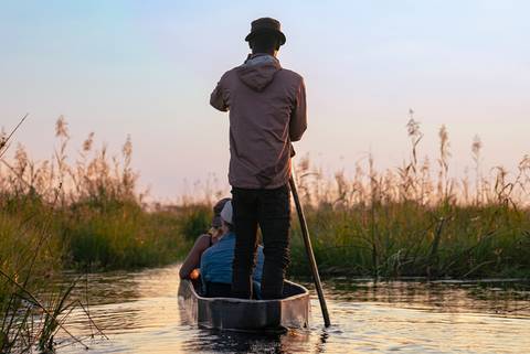 Africa Wildlife Safaris And Game Drives Tour: Kenya To Cape Town