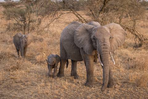 Waterfalls Tour: Kenya To Vic Falls