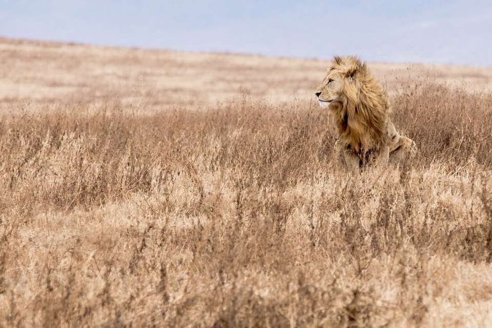 Kenya to Vic Falls - Intrepid Travel - Kenya - Image 15