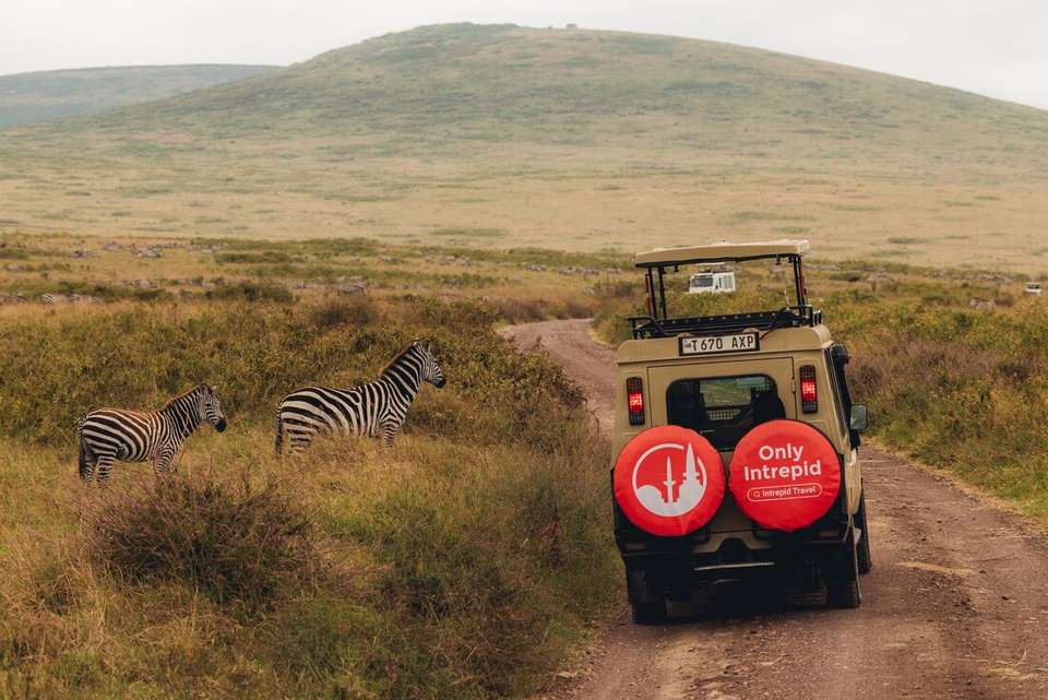 Kenya to Vic Falls - Intrepid Travel - Kenya - Image 6