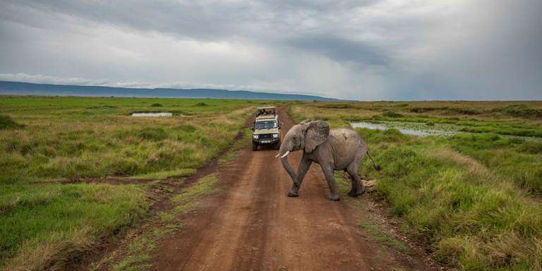 Kenya to Zimbabwe Overland Safari & Participation Camping trip - alternative tour available