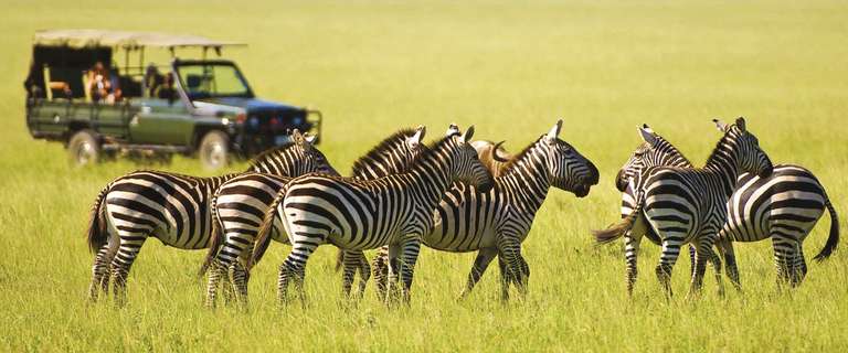 Kenyan Discovery