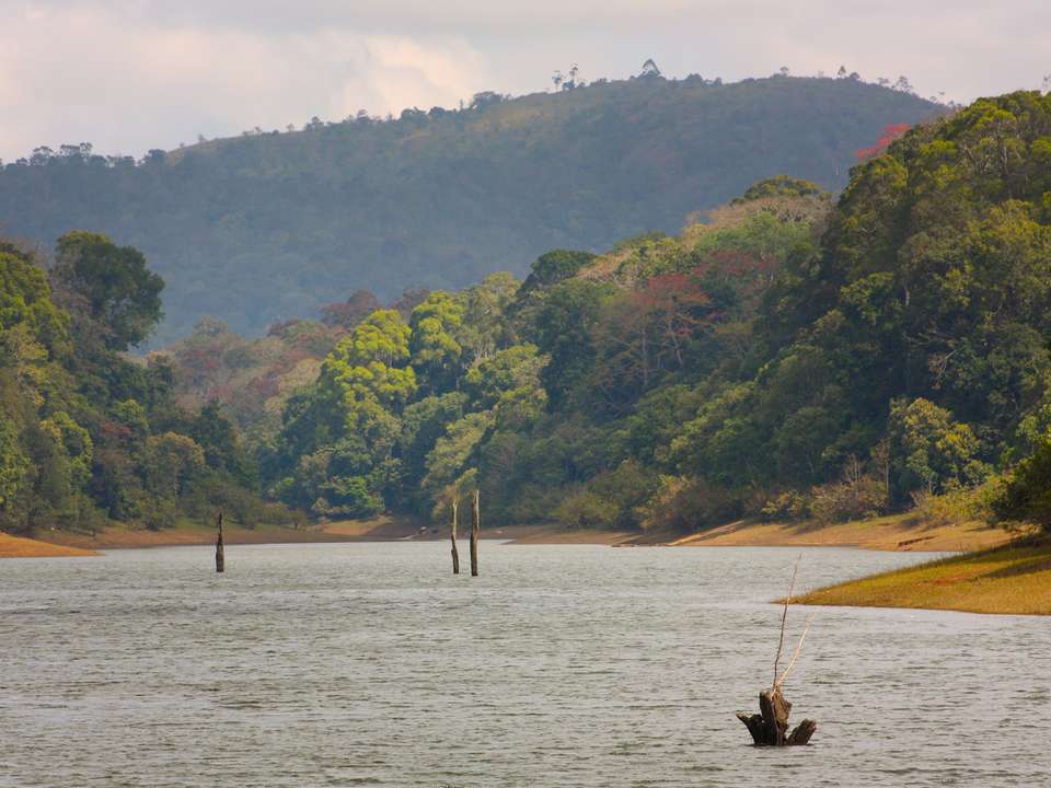 Kerala & Beach - 10 days - On The Go Tours - India