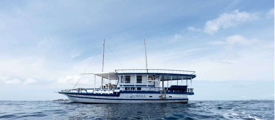 Kerala and Maldives Adventure - World Expeditions - India - Image 2