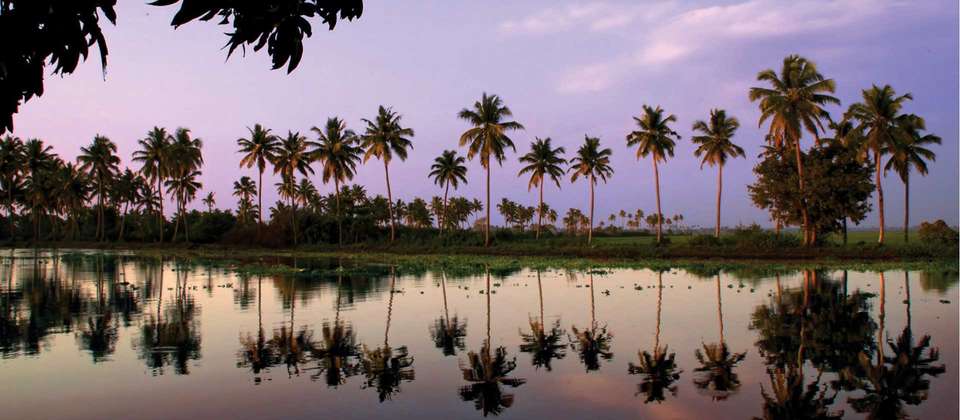 Kerala and Maldives Adventure - World Expeditions - India - Image 6