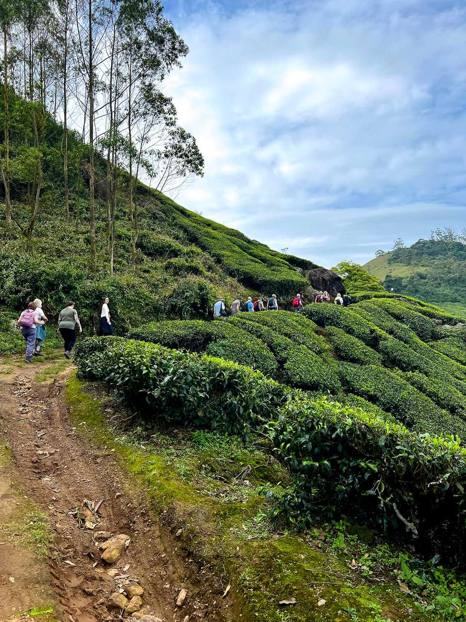 Kerala & the Tropical South - Exodus Adventure Travels - India - Image 11