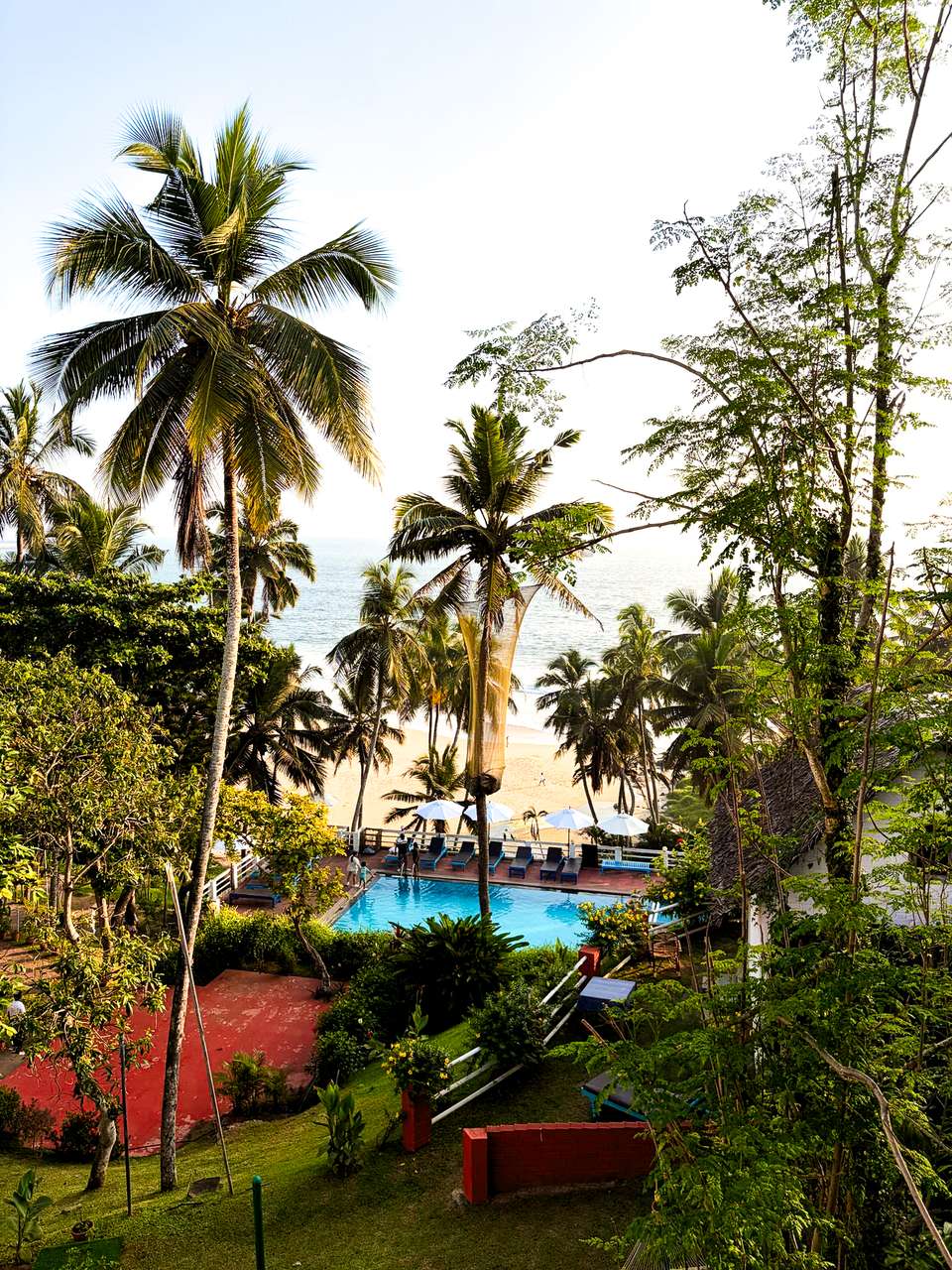Kerala & the Tropical South - Exodus Adventure Travels - India - Image 8