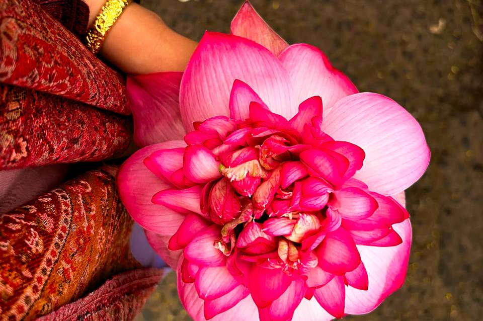 Kerala & the Tropical South - Exodus Adventure Travels - India - Image 5