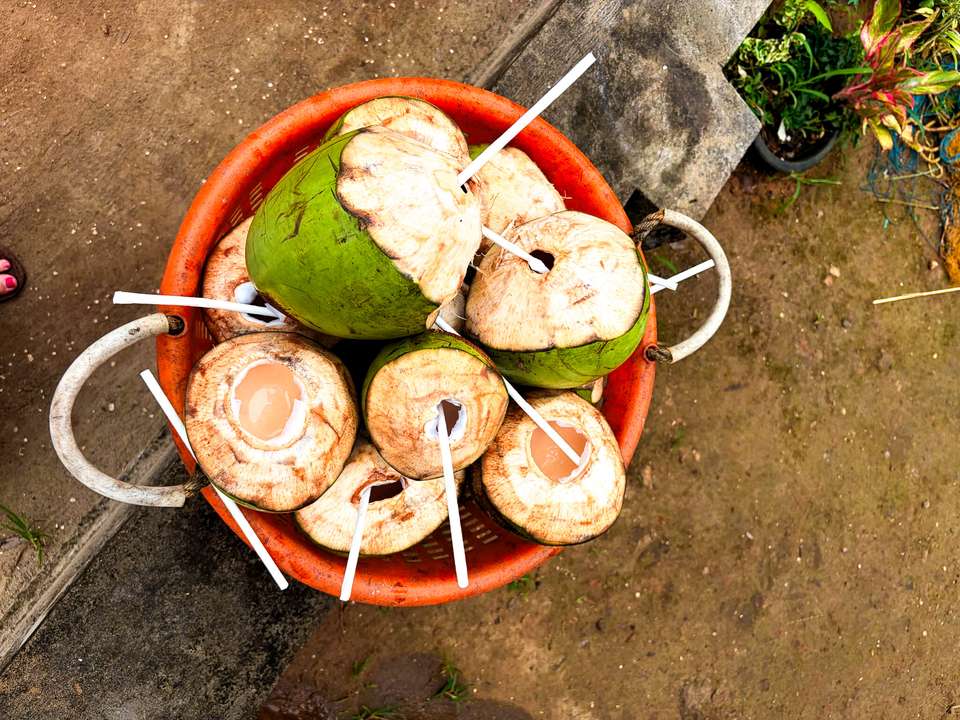Kerala & the Tropical South - Exodus Adventure Travels - India - Image 3