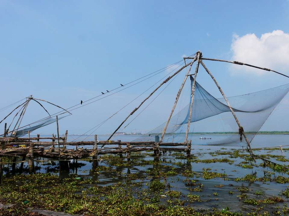 Kerala Discovery - 10 days - On The Go Tours - India - Image 2