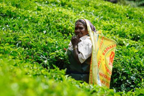 Kerala Heritage, Backwaters And Hill Country - March 2027