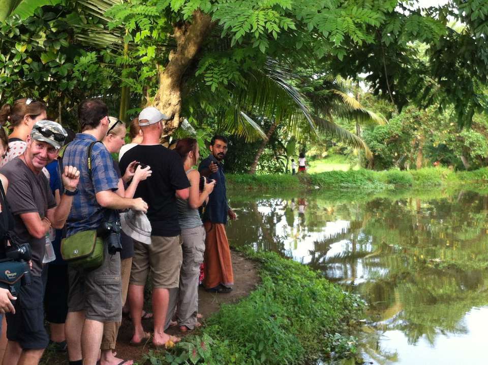 Kerala Heritage, Backwaters and Hill Country - Bamba - India - Image 2