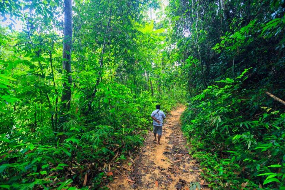 Khao Sok Discovery, Small Group Tour (on Request) - Destination Services - Thailand - Image 2