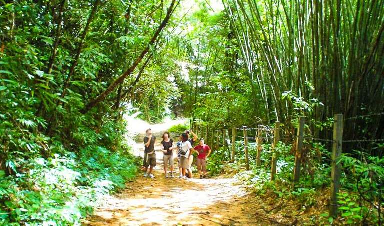 Khao Sok National Park Adventure 3D/2N trip - alternative tour available
