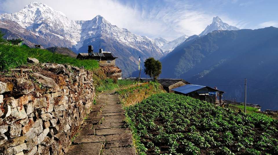 Khopra Ridge Trek: 11 Days - Nepal Lion Tours And Treks Pvt Ltd - Nepal - Image 3