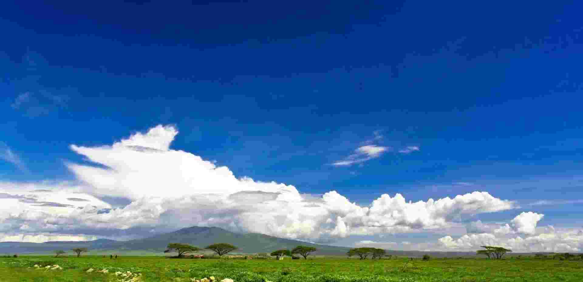 Kifaru Safari, Serena Lodges