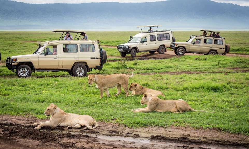 Kifaru Safari, Serena Lodges - Destination Services - Tanzania - Image 6