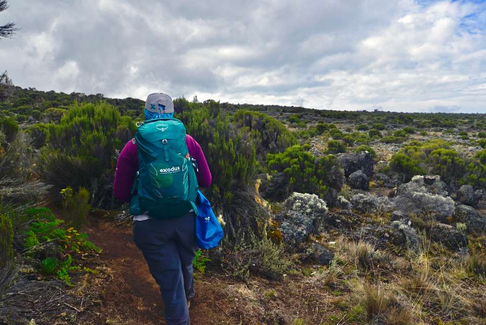 Kilimanjaro Climb - Lemosho Route - Exodus Adventure Travels - Tanzania