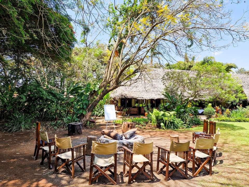 Kilimanjaro Climb - Lemosho Route - Exodus Adventure Travels - Tanzania