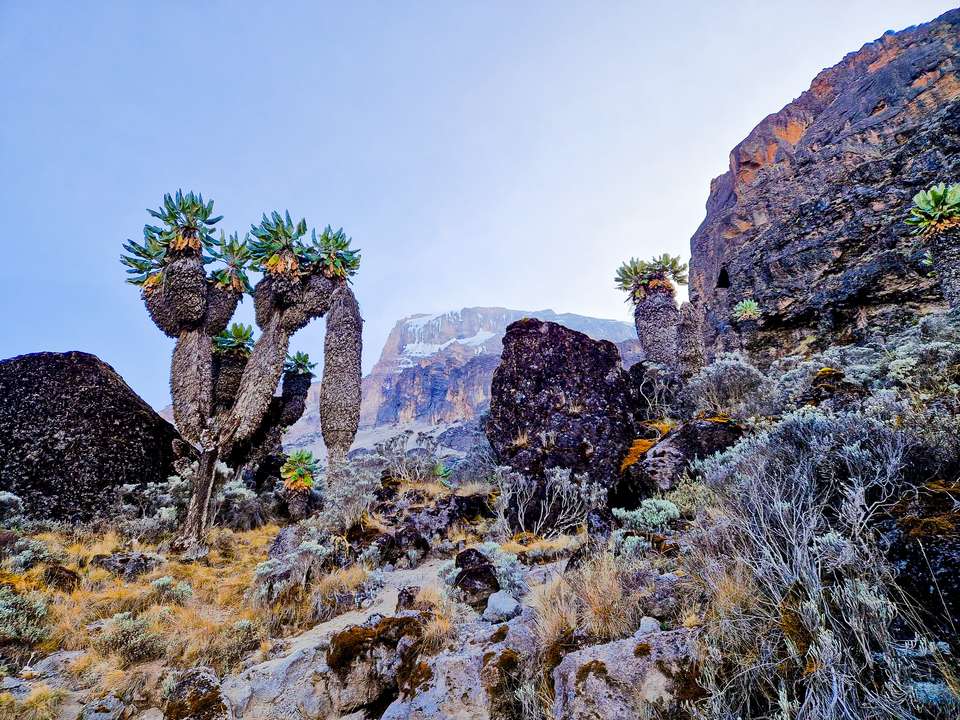 Kilimanjaro Climb - Lemosho Route - Exodus Adventure Travels - Tanzania