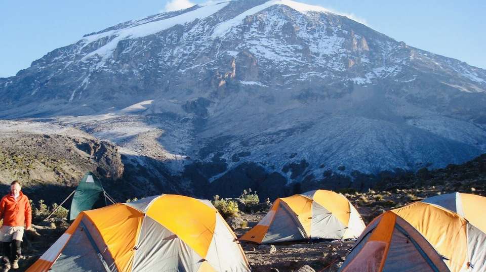 Kilimanjaro Trek - Lemosho Route in 10 days - Kilimanjaro Trekking Mate - Tanzania - Image 5