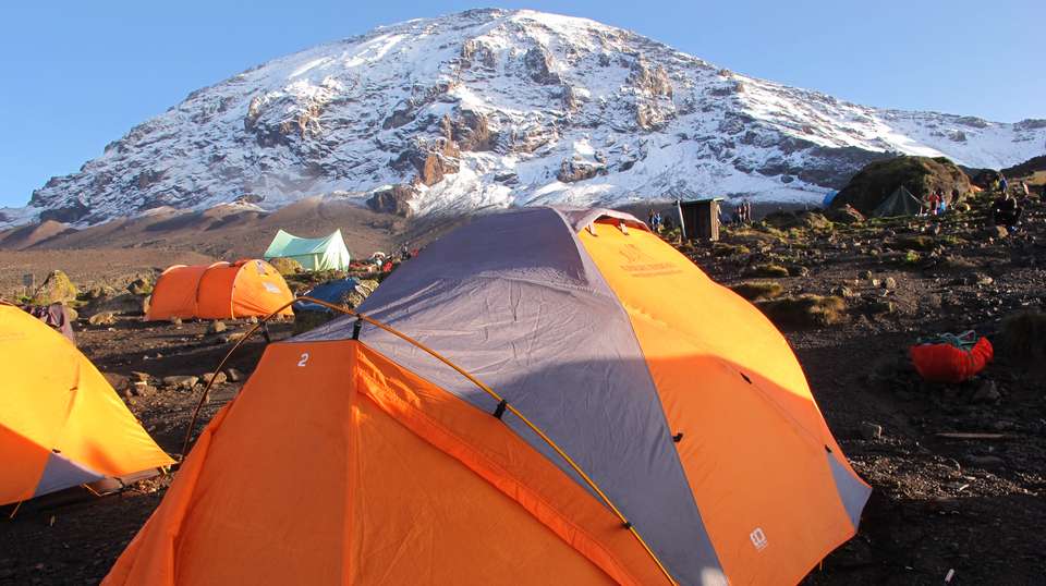 Kilimanjaro Trek - Lemosho Route in 10 days - Kilimanjaro Trekking Mate - Tanzania - Image 7