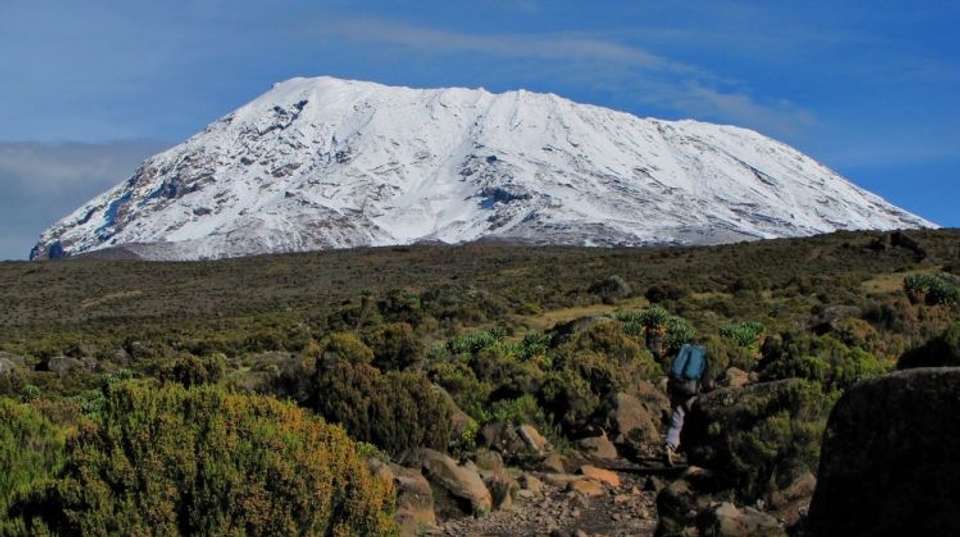 Mt. Kilimanjaro - Machame Route | 8 Days - Expect In Africa Safari - Tanzania - Image 2
