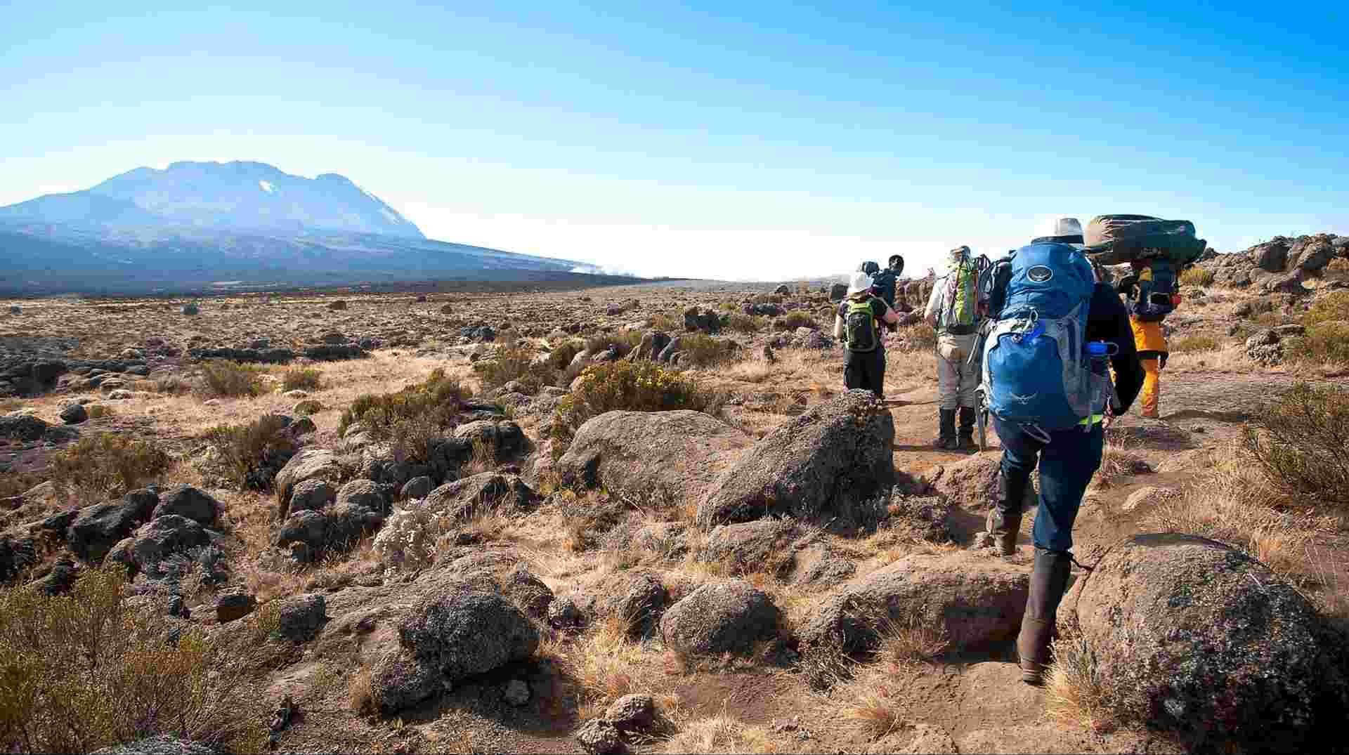 Mt. Kilimanjaro - Machame Route  | 8 Days
