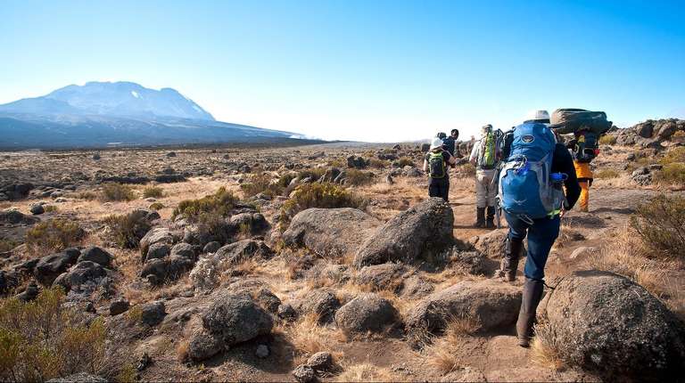 Mt. Kilimanjaro - Machame Route  | 8 Days trip - alternative tour available
