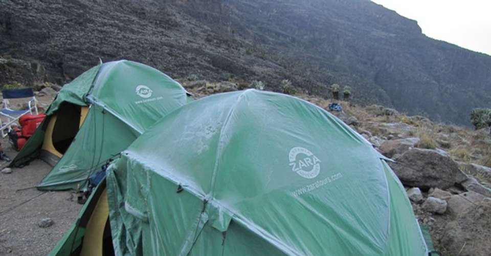 Kilimanjaro Climb Rongai Route 8 Days - Zara Tours - Tanzania - Image 4