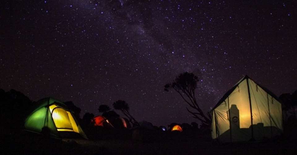 Kilimanjaro Climb Rongai Route 8 Days - Zara Tours - Tanzania - Image 6