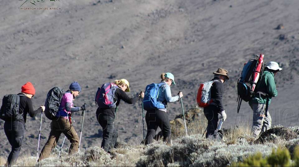 Kilimanjaro Climb Rongai Route 8 Days - Zara Tours - Tanzania - Image 7
