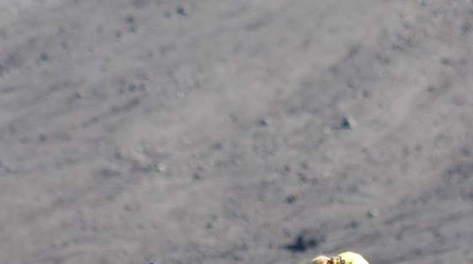Kilimanjaro Climb Rongai Route 8 Days - Zara Tours - Tanzania - Image 8