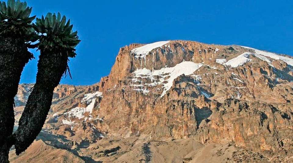 Kilimanjaro Climb Rongai Route 8 Days - Zara Tours - Tanzania - Image 10